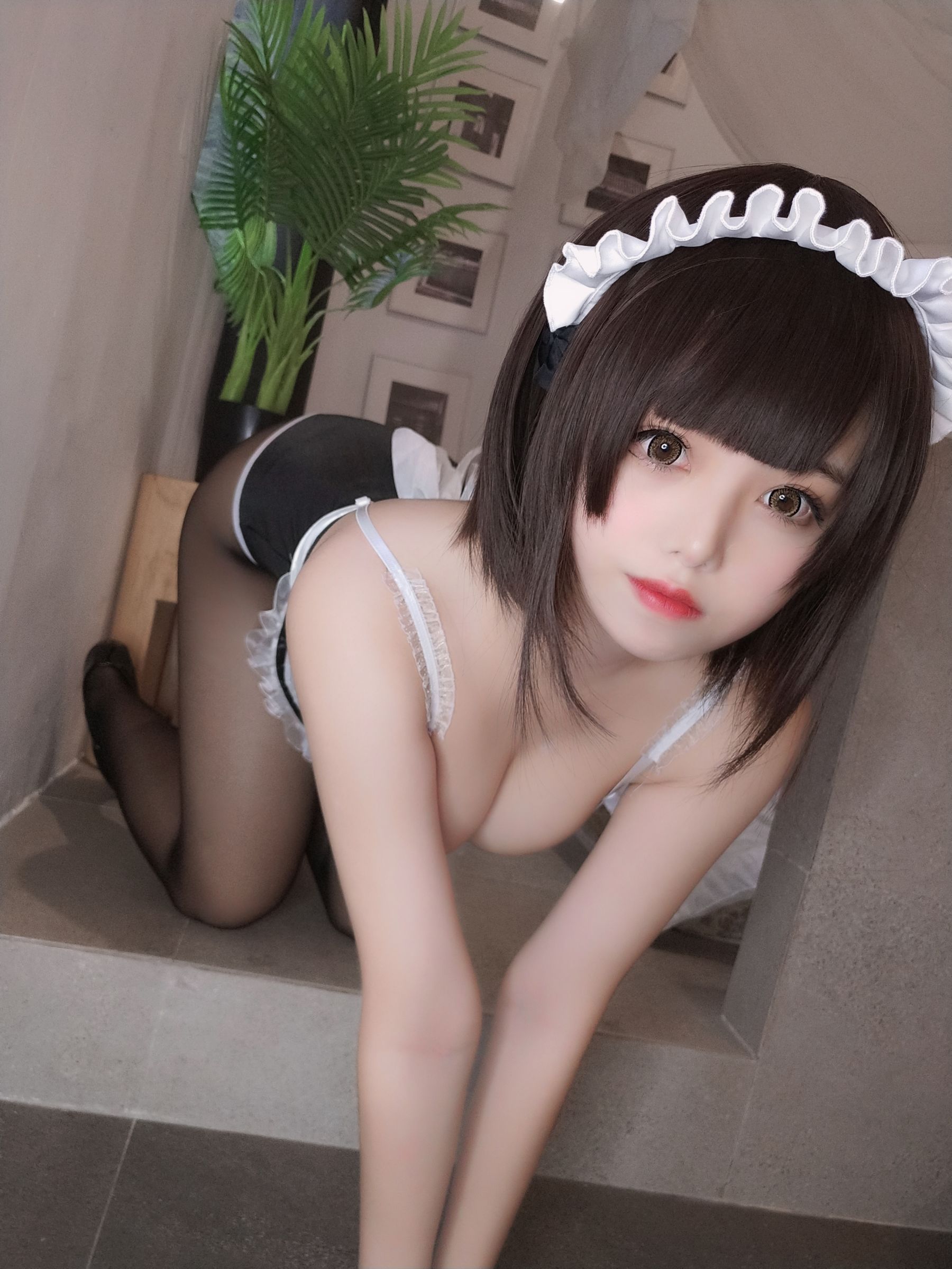 [Cosplay] Cute Miss Sister Honey Cat Qiu - Maid